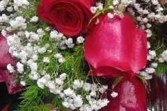 WhatsApp-Image-2026-03-22-at-18.28.41-1